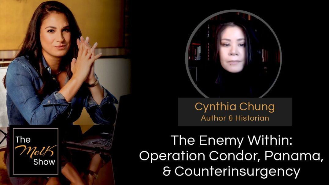 ⁣Mel K & Cynthia Chung | The Enemy Within: Operation Condor, Panama, & Counterinsurgency | 3-