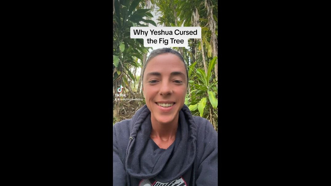 ⁣Why Yeshua Cursed the Fig Tree