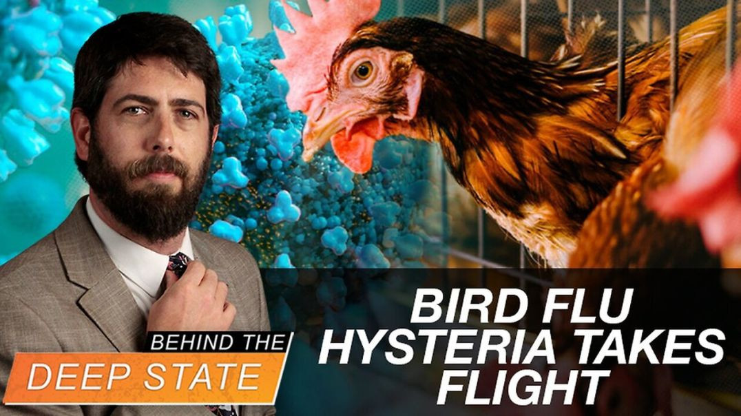 ⁣Bird Flu Hysteria Takes Flight Amid WHO Power Grab & 2024 Election