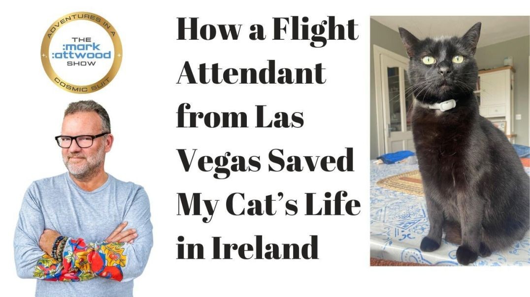 ⁣How a Flight Attendant from Las Vegas Saved My Cat’s Life in Ireland - 17th Oct 2024