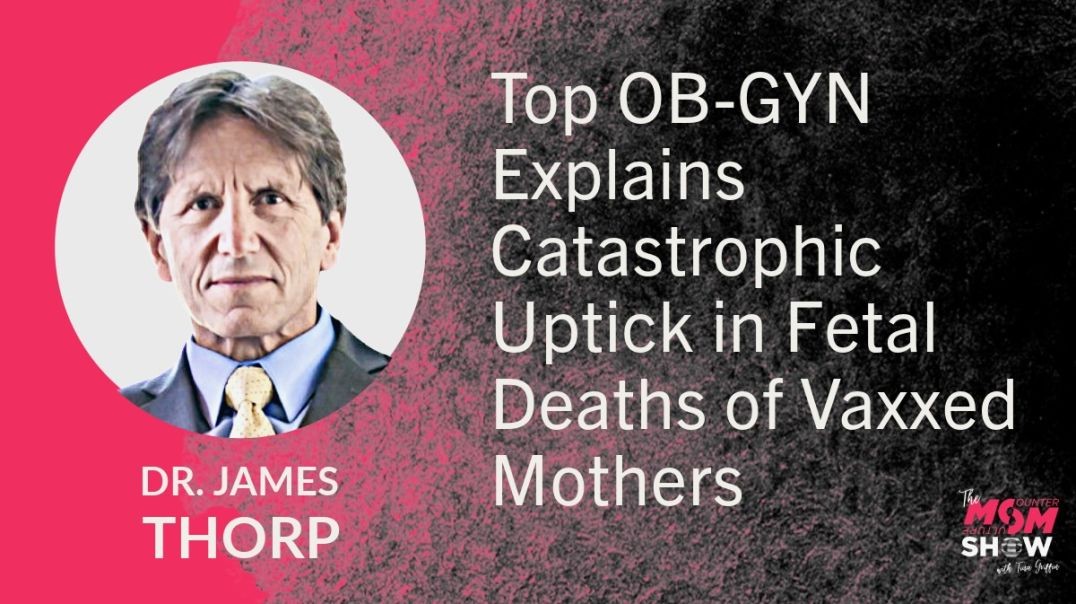 ⁣Ep704 - Top OB-GYN Explains Catastrophic Uptick in Fetal Deaths of Vaxxed Mothers - Dr. James Thorp