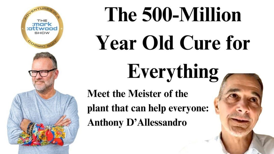 ⁣The 500-Million Year Old Cure for Everything - 24th Oct 2024