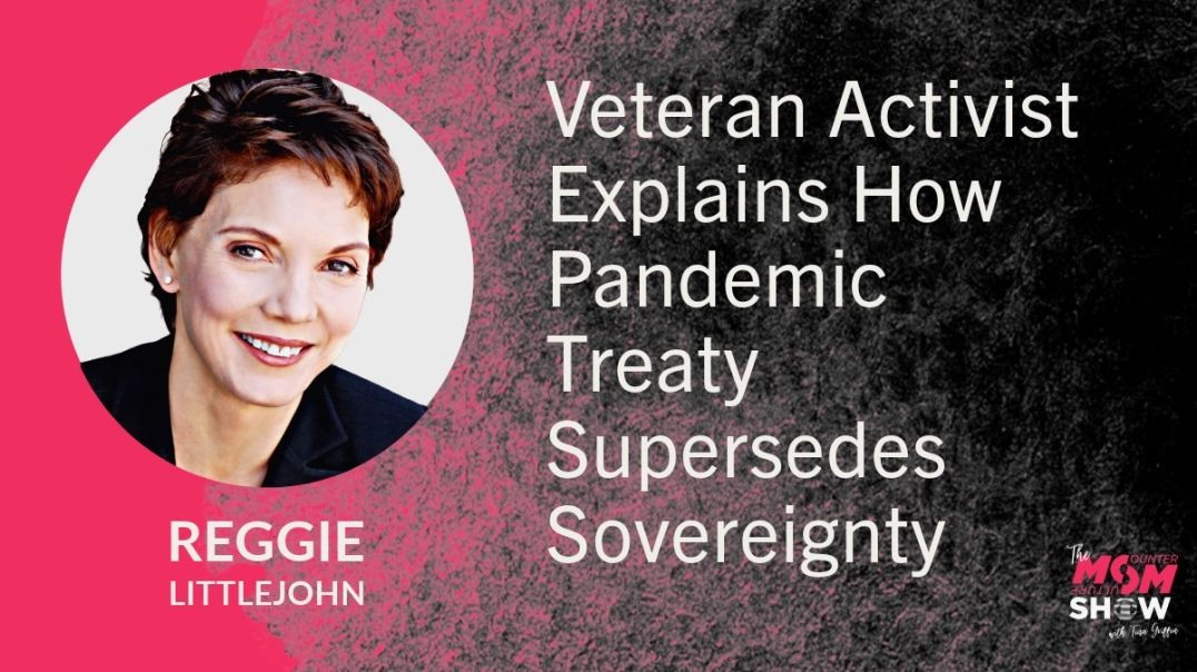 ⁣Ep707 - Veteran Activist Explains How Pandemic Treaty Supersedes Sovereignty - Reggie Littlejohn