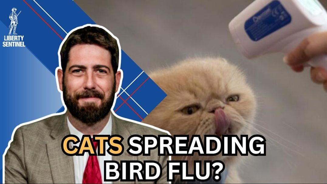 ⁣Breaking Down the Bird Flu "Outbreak" and Congress' Battle for Funding